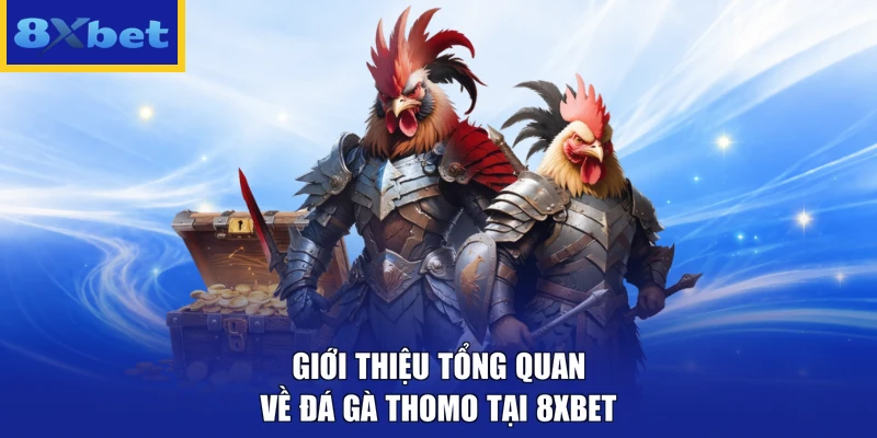 Giới thiệu tổng quan về đá gà thomo tại 8xbet