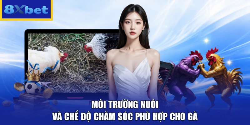Môi trường nuôi và chế độ chăm sóc phù hợp cho gà 